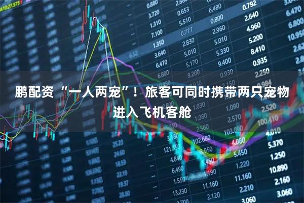 鹏配资 “一人两宠”！旅客可同时携带两只宠物进入飞机客舱
