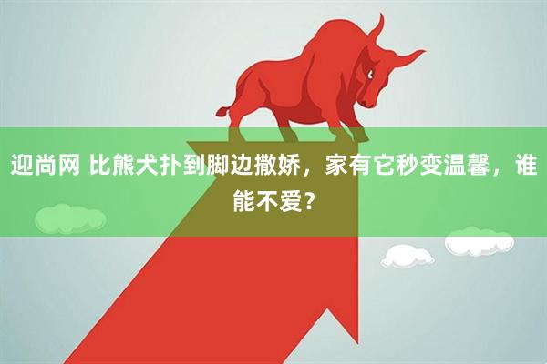 迎尚网 比熊犬扑到脚边撒娇，家有它秒变温馨，谁能不爱？