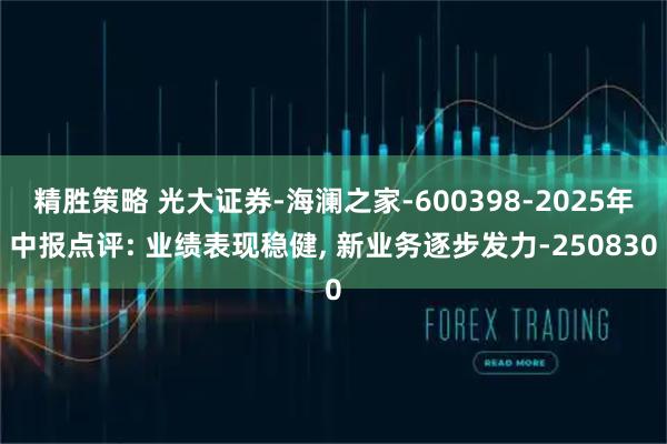 精胜策略 光大证券-海澜之家-600398-2025年中报点评: 业绩表现稳健, 新业务逐步发力-250830