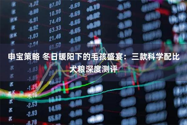 申宝策略 冬日暖阳下的毛孩盛宴：三款科学配比犬粮深度测评