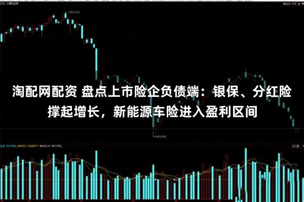 淘配网配资 盘点上市险企负债端：银保、分红险撑起增长，新能源车险进入盈利区间